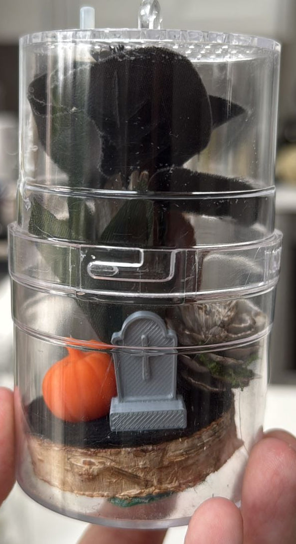 sling/jevenile jumping spider enclosure