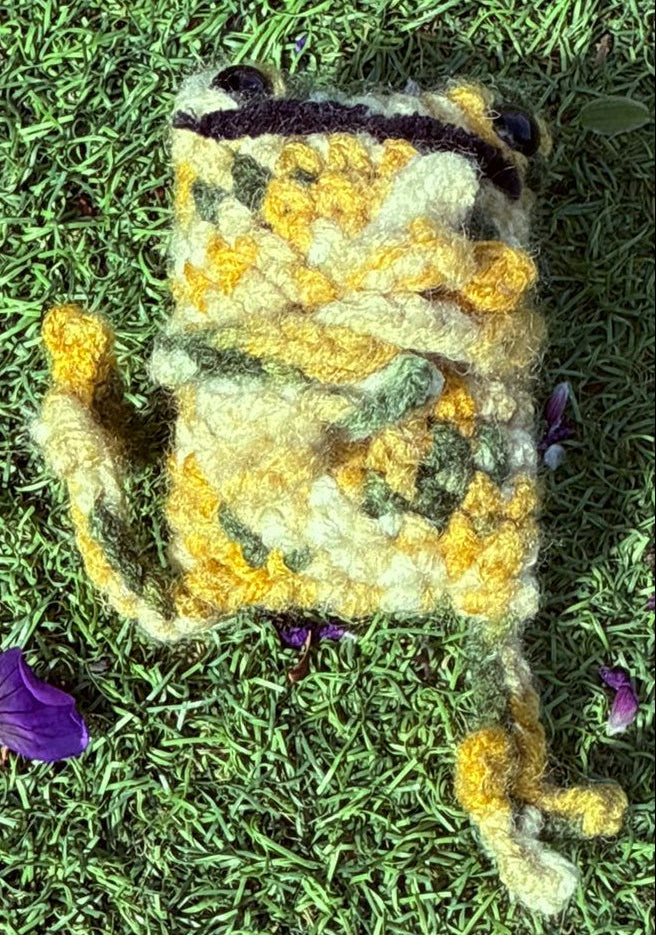 Leggy frog